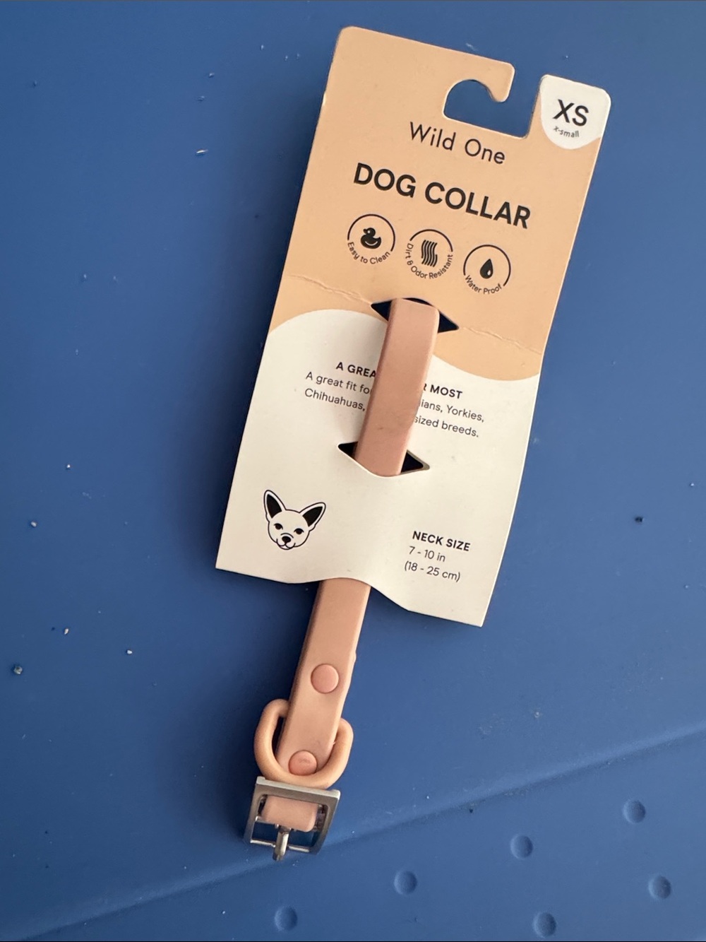 Wild One XS Dog Collar in Blush